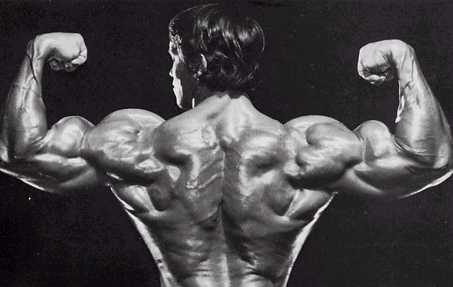 Arnold-Schwarzenegger-Back-1