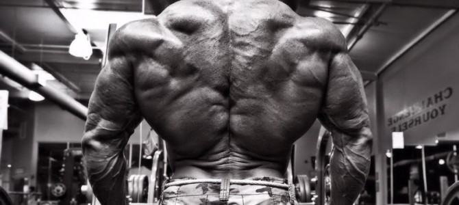 Why the lats are so important in the Bench Press