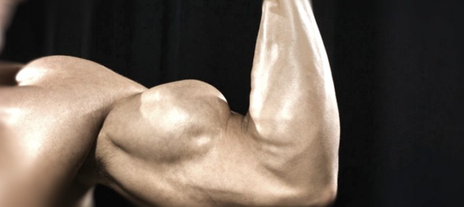 5 Best Exercises for Biceps